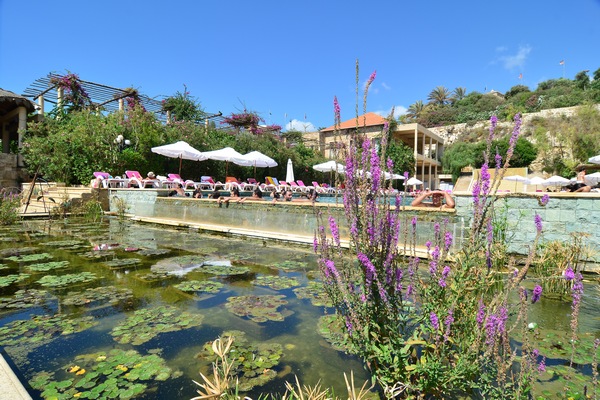 Sunday At Edde Sands